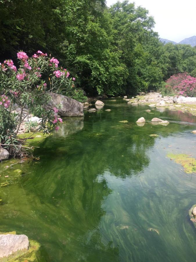 بنغلات كناريو Çıralı المظهر الخارجي الصورة