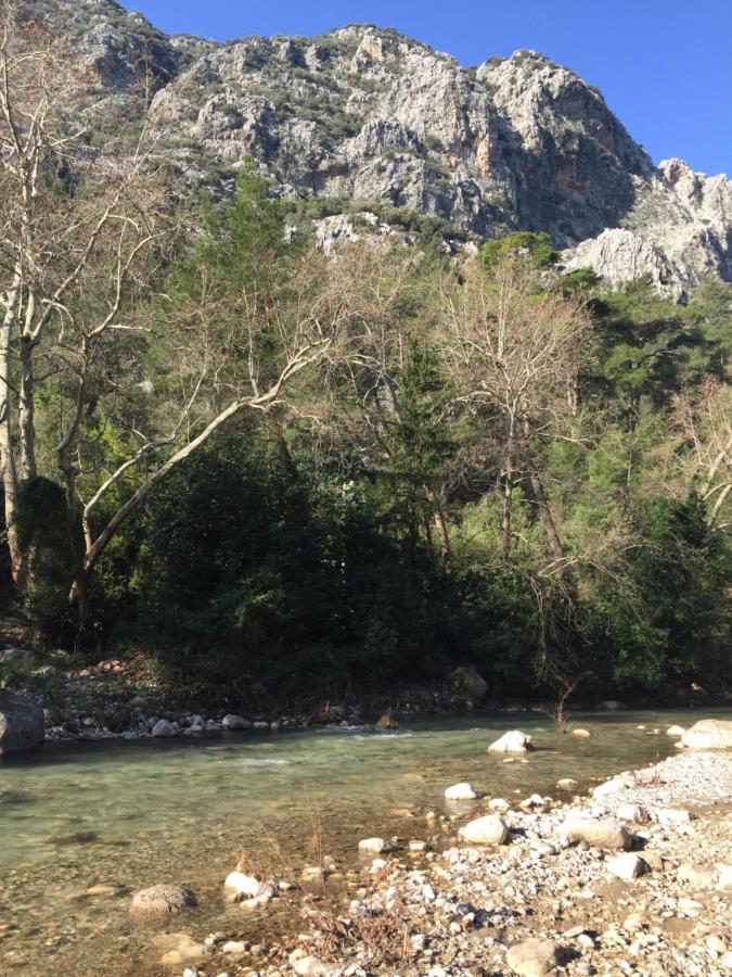 بنغلات كناريو Çıralı المظهر الخارجي الصورة