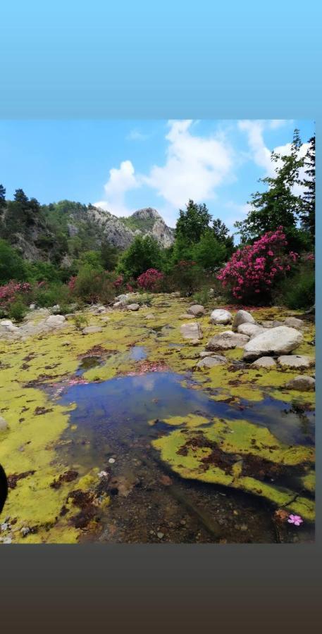 بنغلات كناريو Çıralı المظهر الخارجي الصورة