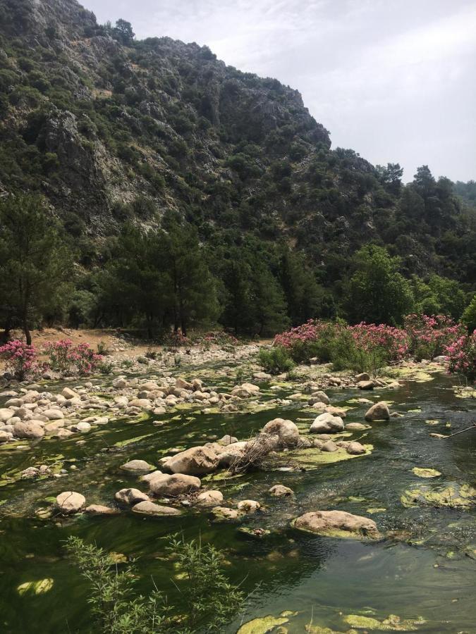 بنغلات كناريو Çıralı المظهر الخارجي الصورة