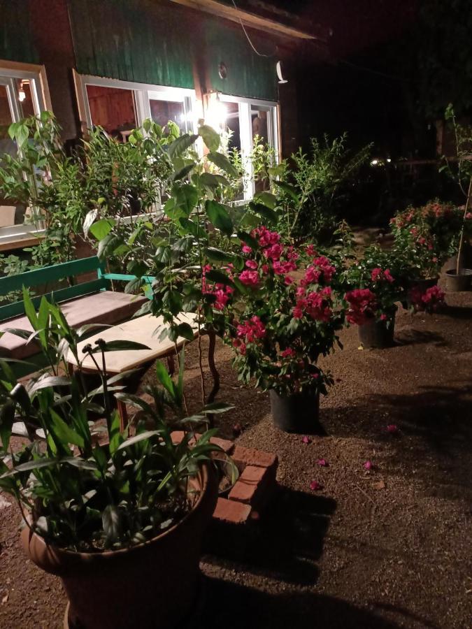 بنغلات كناريو Çıralı المظهر الخارجي الصورة